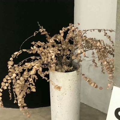 兽设零基础绘画实用教程福瑞交流群